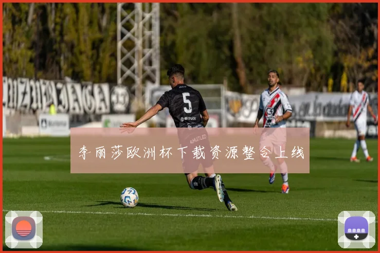 李丽莎欧洲杯下载资源整合上线