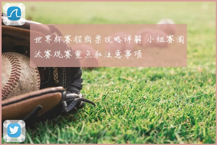 世界杯赛程购票攻略详解 小组赛淘汰赛观赛重点和注意事项